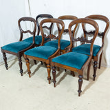 6x Victorian Mahogany Bustleback Chairs