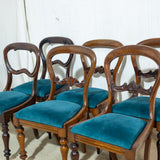 6x Victorian Mahogany Bustleback Chairs