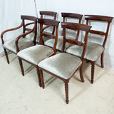 6x Mahogany Regency Style Dining Chairs