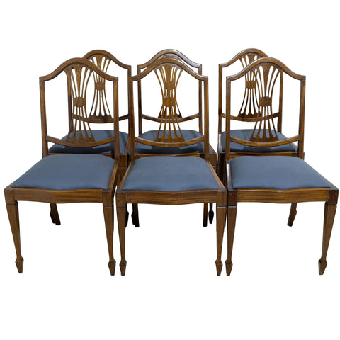 6x Mahogany Shield-Back Dining Chairs for sale in cape town. Furniture store.
