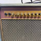 Samick 40 Watt Guitar Amp