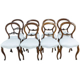 Victorian mahogany bustleback chairs for sale in cape town. Furniture store. Kists.